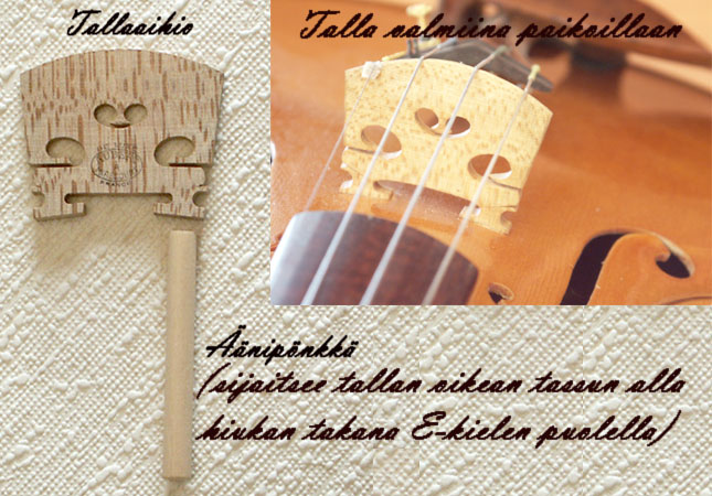 Www viulunrakentajat